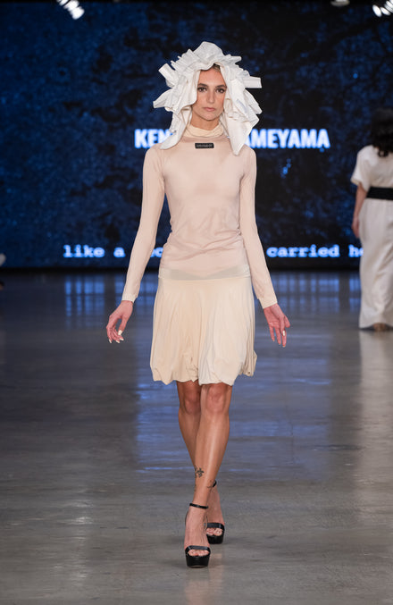 Long Sleeve Balloon Dress