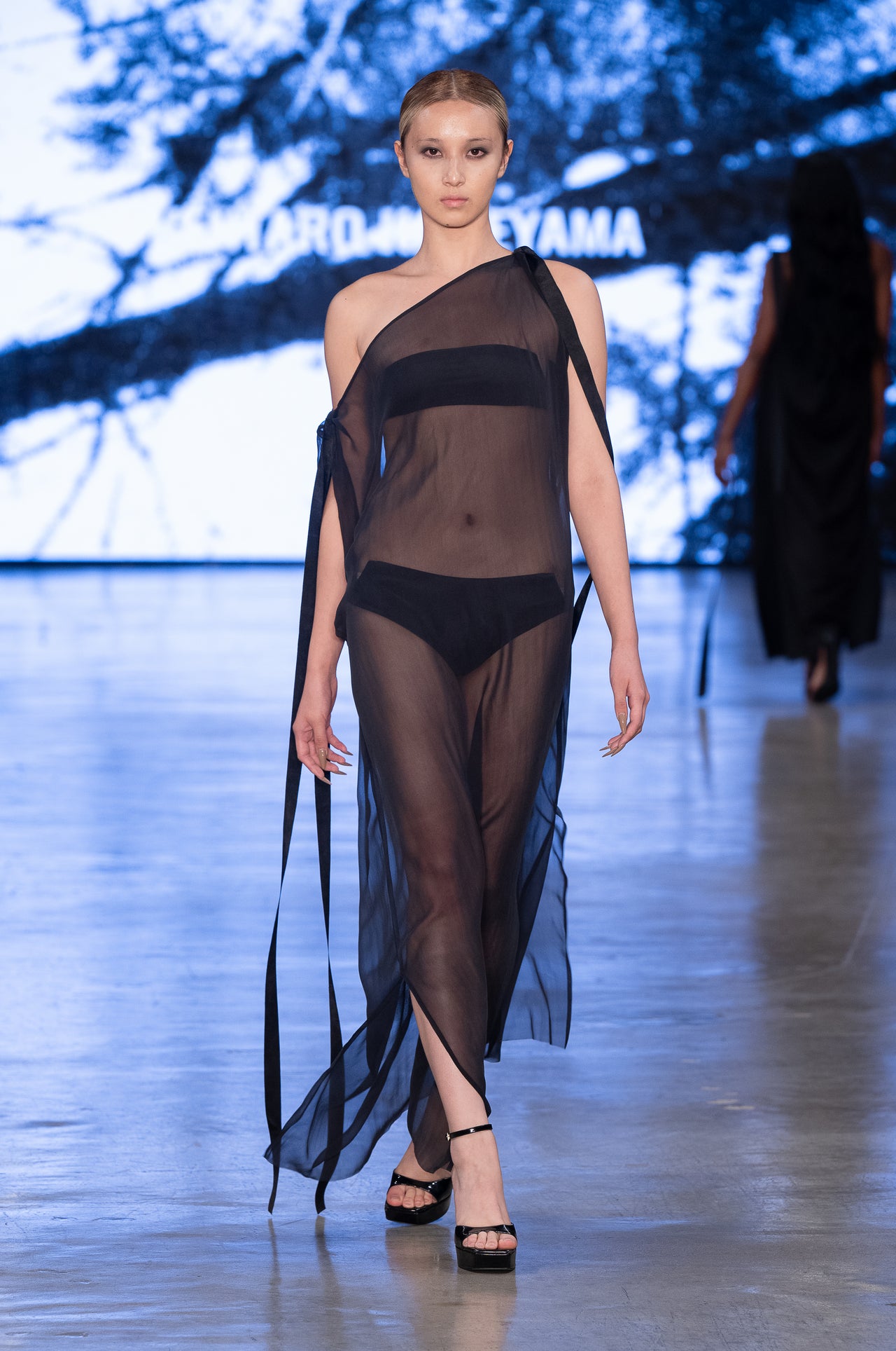 See-Through Long Black Dress